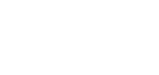 logo-fintGO